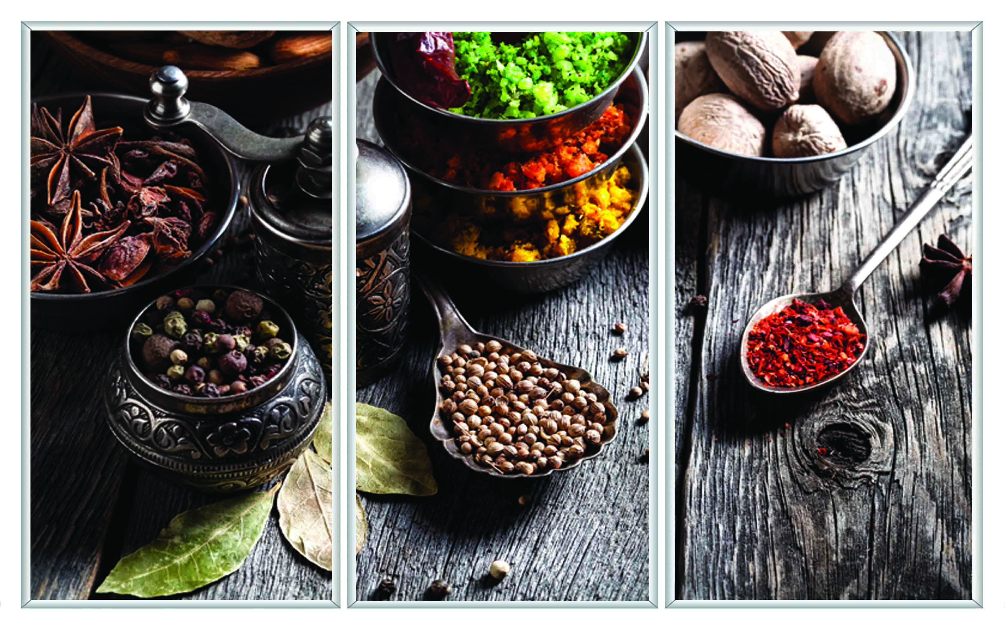 ASG445 Wall décor art printed on glass spices set of 3